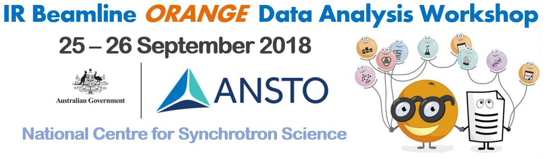 IR Beamline ORANGE Data Analysis Workshop